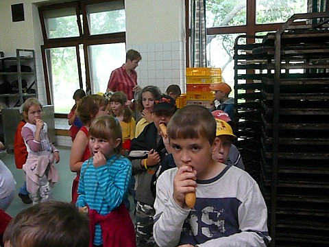 img00037.jpg