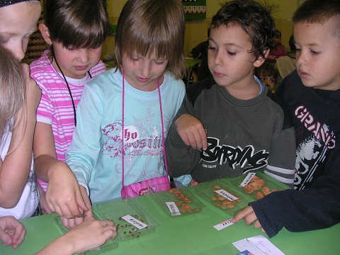 img00002.jpg