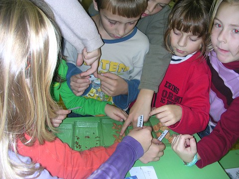img00003.jpg