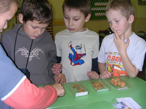 img00005.jpg