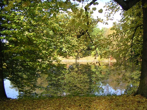 img00030.jpg
