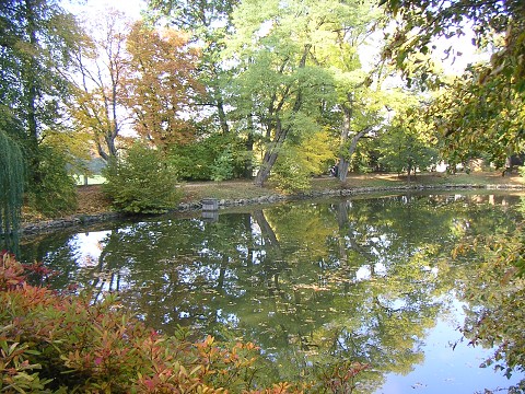 img00031.jpg