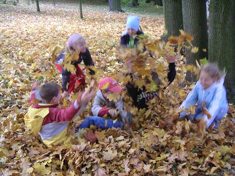img00057.jpg