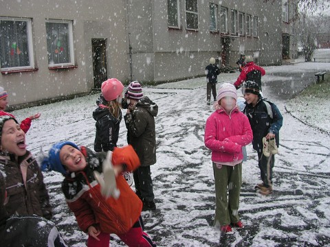img00002.jpg