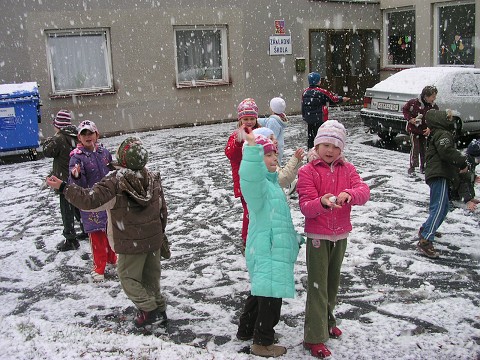 img00004.jpg