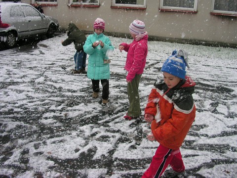 img00006.jpg