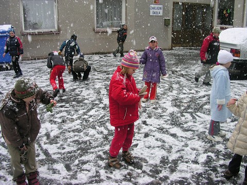 img00007.jpg