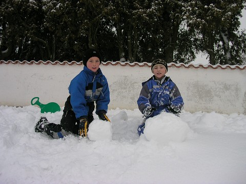 img00021.jpg
