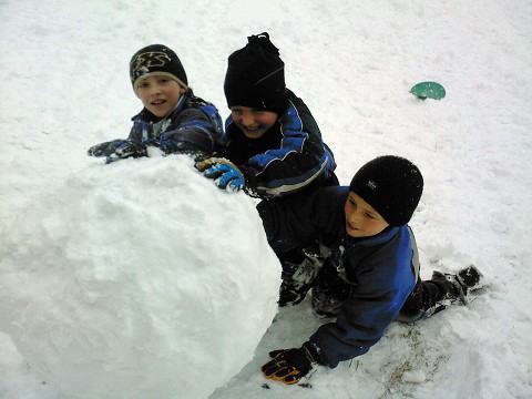 img00031.jpg