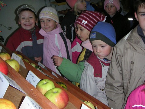 img00011.jpg