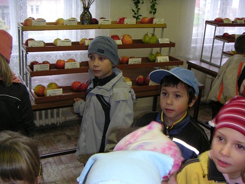 img00012.jpg