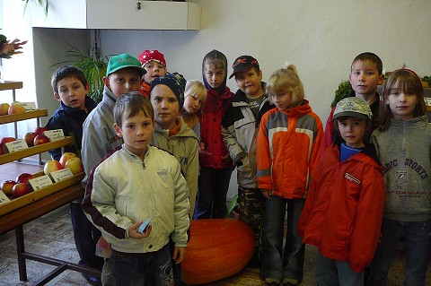 img00005.jpg