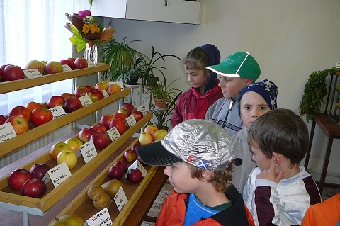 img00006.jpg