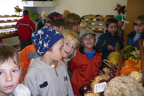 img00009.jpg