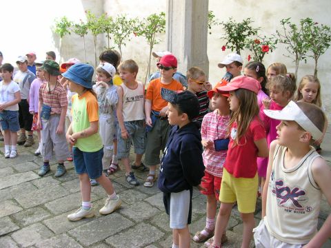 img00011.jpg