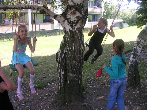 img00005.jpg