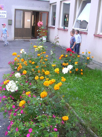 img00016.jpg